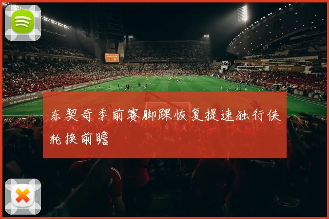 东契奇季前赛脚踝恢复提速独行侠轮换前瞻